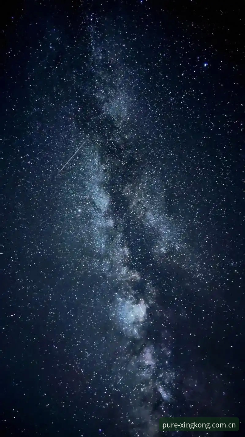 星空XINGKONG CN login登录使用教程：如何避开花哨界面，找到干净的赛事数据入口？