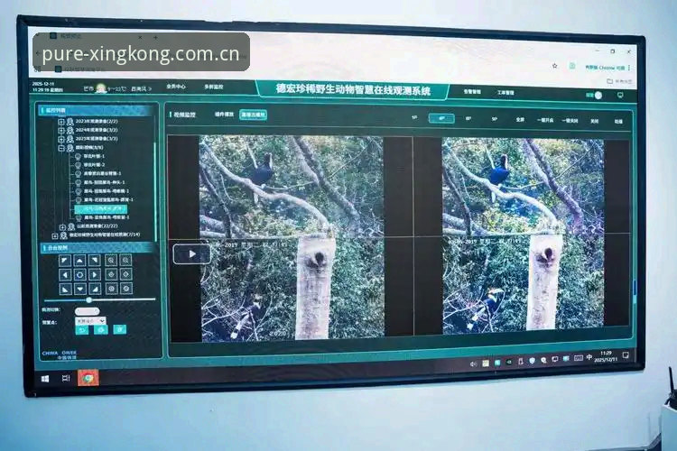 XINGKONG CN login 纯净vs复杂:一个老编辑眼中的XINGKONG CN login真实体验